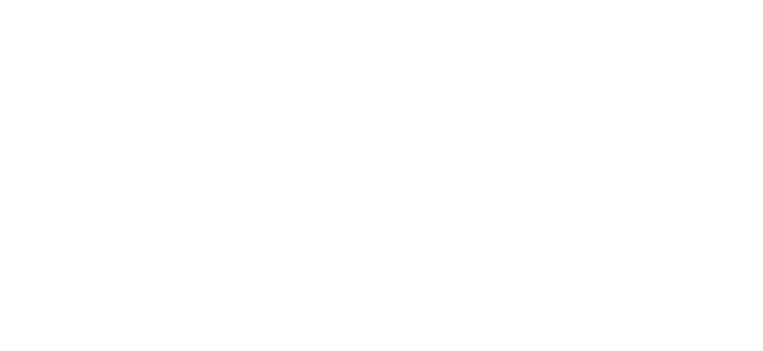 inż. Wiktoria Rak
